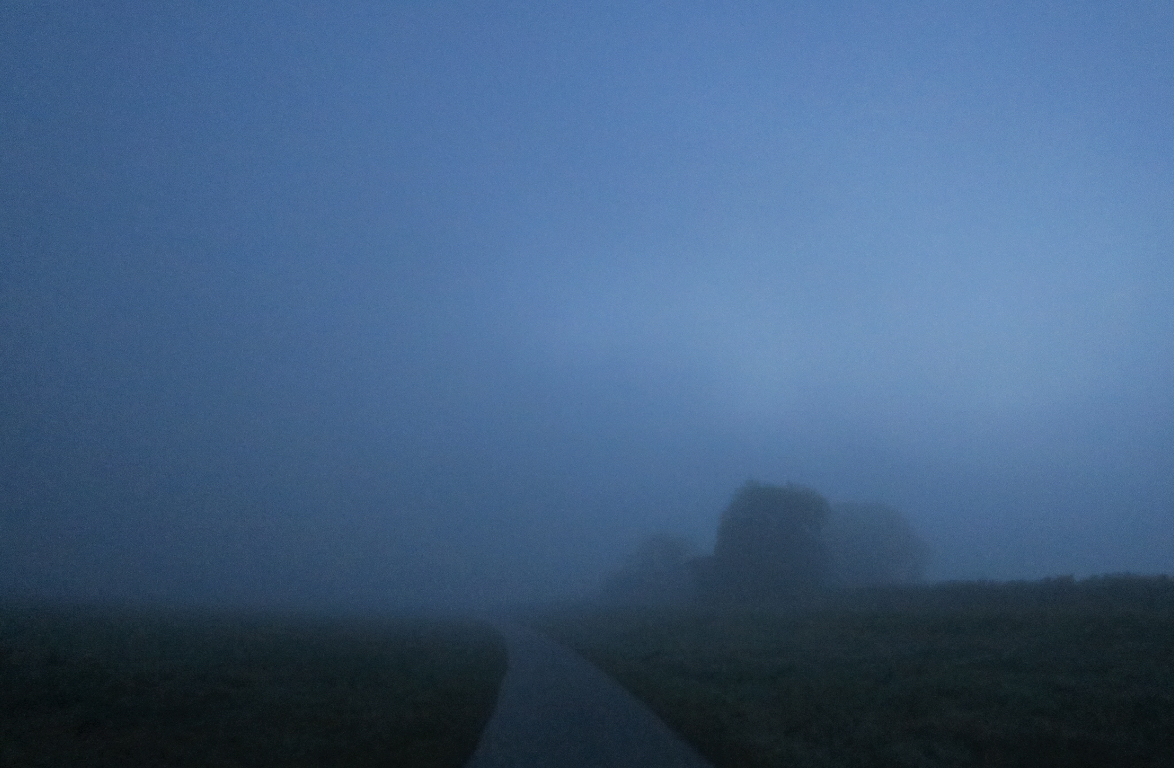 Morgens an der Lesum